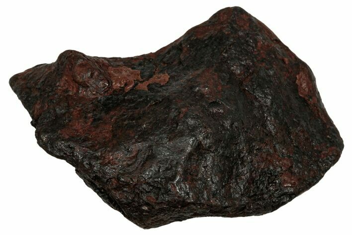 Canyon Diablo Iron Meteorite ( g) - Arizona #336031